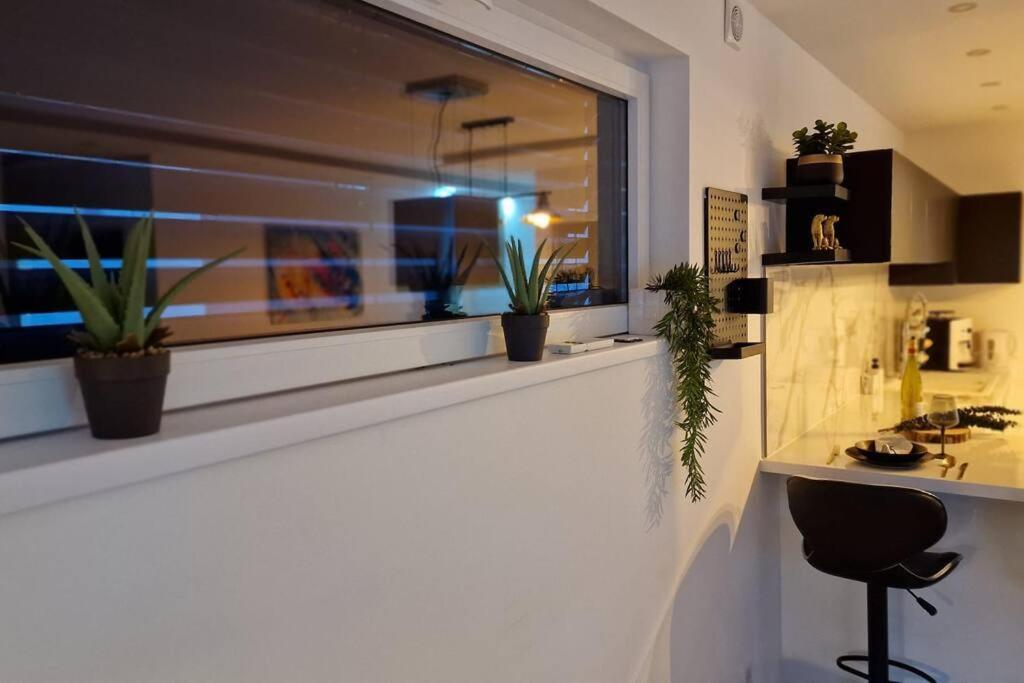 Suite Prestige Logement Neuf Avec Spa Et Ecran De Cinema En Rez De Jardin كولمار المظهر الخارجي الصورة