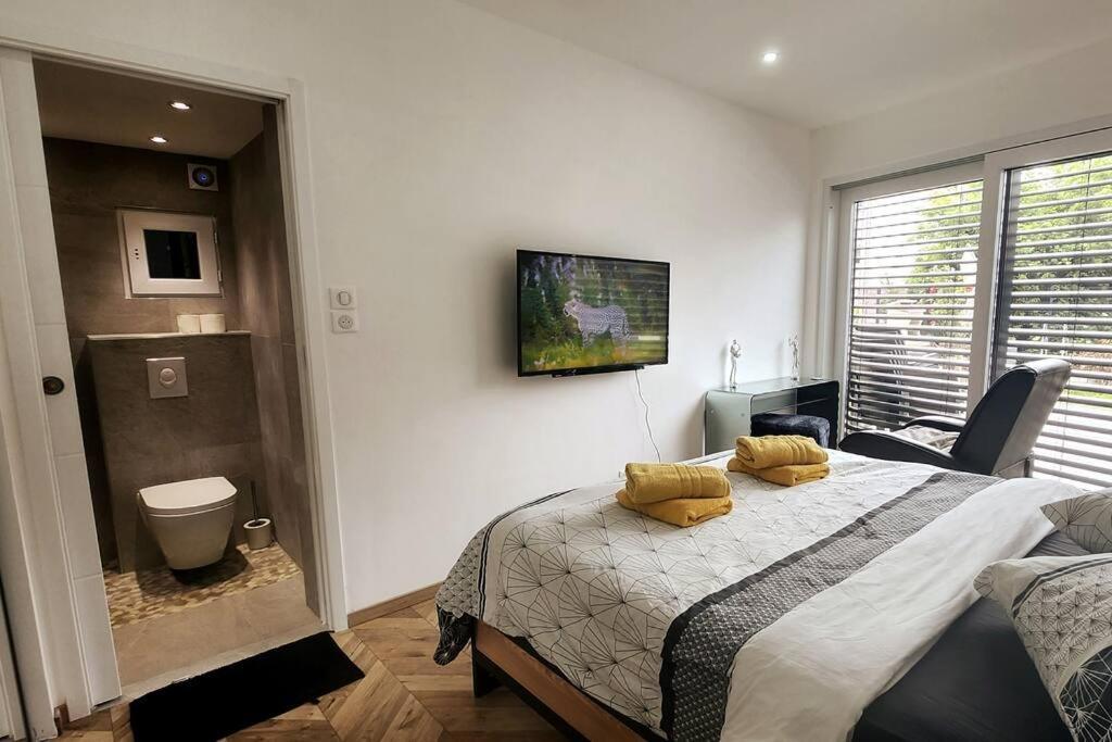 Suite Prestige Logement Neuf Avec Spa Et Ecran De Cinema En Rez De Jardin كولمار المظهر الخارجي الصورة