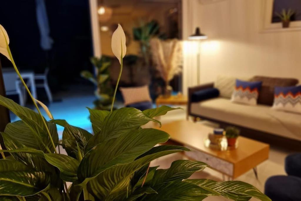 Suite Prestige Logement Neuf Avec Spa Et Ecran De Cinema En Rez De Jardin كولمار المظهر الخارجي الصورة