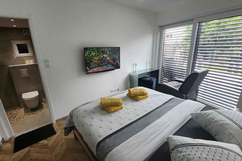 Suite Prestige Logement Neuf Avec Spa Et Ecran De Cinema En Rez De Jardin كولمار المظهر الخارجي الصورة