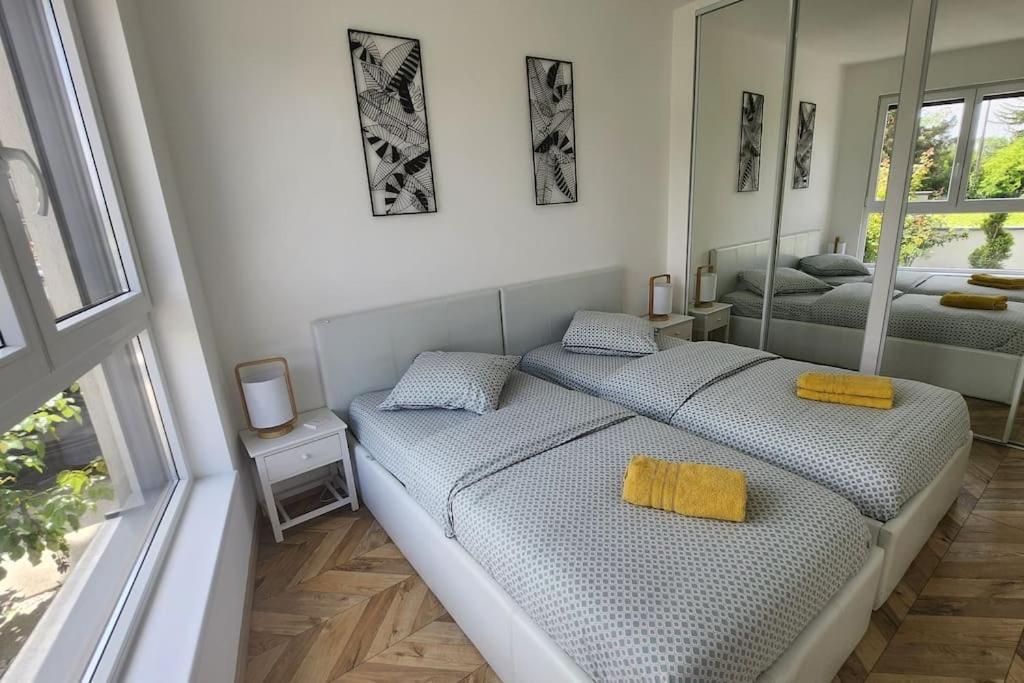 Suite Prestige Logement Neuf Avec Spa Et Ecran De Cinema En Rez De Jardin كولمار المظهر الخارجي الصورة