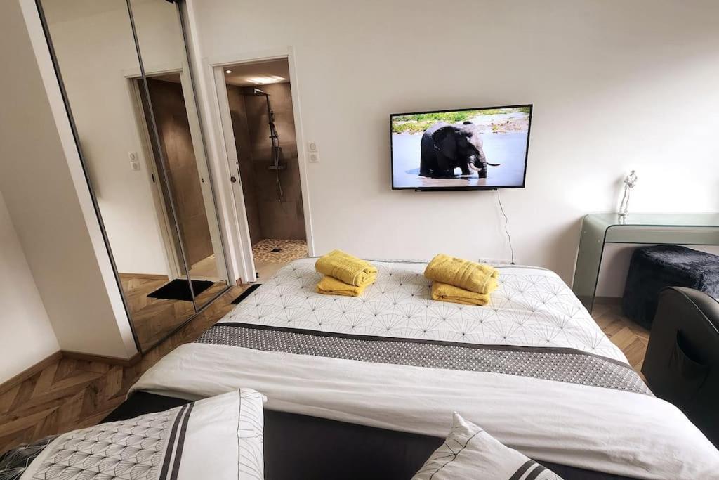 Suite Prestige Logement Neuf Avec Spa Et Ecran De Cinema En Rez De Jardin كولمار المظهر الخارجي الصورة