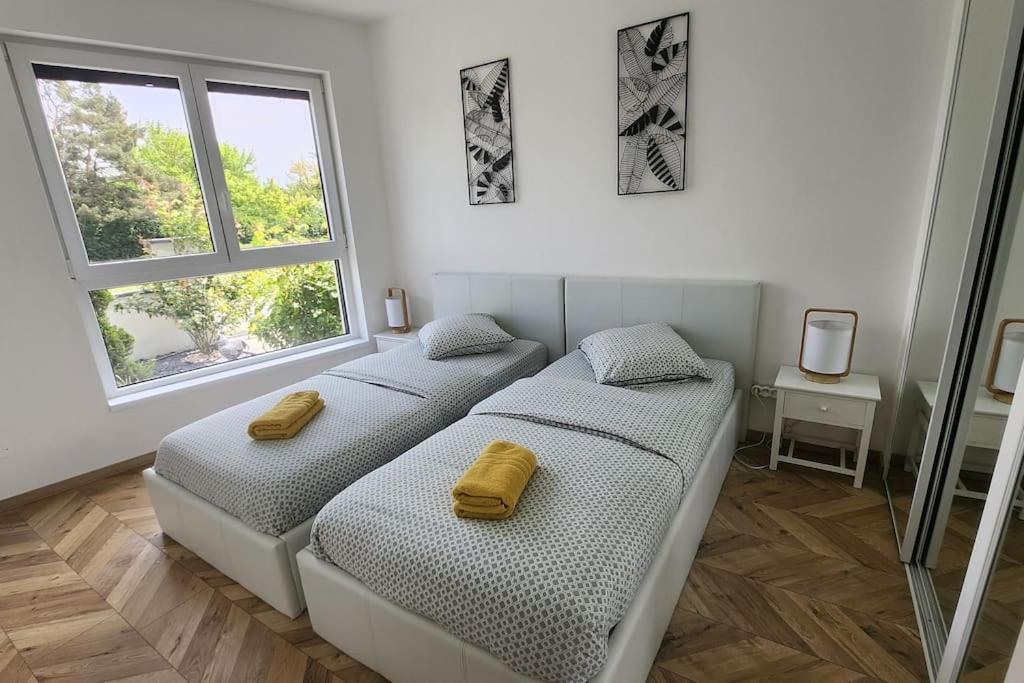 Suite Prestige Logement Neuf Avec Spa Et Ecran De Cinema En Rez De Jardin كولمار المظهر الخارجي الصورة
